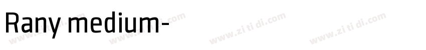 Rany medium字体转换